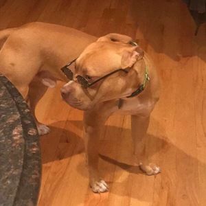 Meet your Posher, Nick